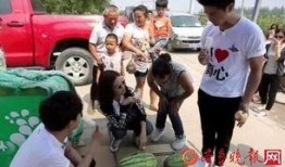 吃瓜群众卖什么,揭秘他们的“瓜”与“卖瓜”之道