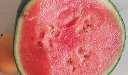 长垣吃瓜视频后续,真相大白，网友热议不断