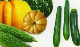 明德学院吃瓜,揭秘校园热点背后的真相