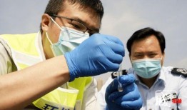 医生把脉吃瓜,医生把脉与夏日瓜果的和谐交响