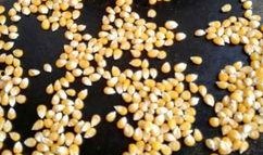 爆米花吃瓜,共享休闲好时光