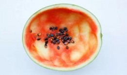 圆的吃瓜勺子,探索创意与美食的完美融合