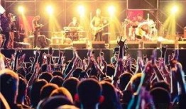 铁桥乐队吃瓜,揭秘娱乐圈幕后真相