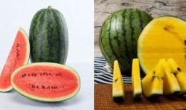 吃瓜就是吃自己的瓜,你吃的其实是自己的瓜