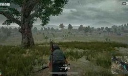 吃鸡吃瓜直播在哪看