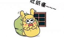 吃瓜群众猫扑,揭秘网络热点的幕后故事