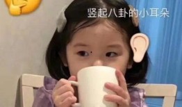 带你吃瓜奇葩表情,带你领略“带你吃瓜”表情包的趣味魅力