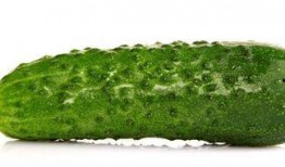 吃瓜可以减肥么,揭秘瓜果中的瘦身秘密