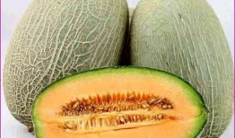 吃木瓜可以吃哈密瓜吗,同食可否共享美味？