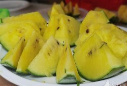 上海金山小瓜怎么吃,上海金山小瓜的多样食法探索