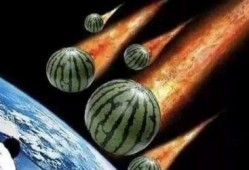 树洞吃瓜直播,揭秘娱乐圈幕后故事