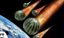 树洞吃瓜直播,揭秘娱乐圈幕后故事