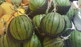 吃瓜小颖,揭秘娱乐圈幕后故事