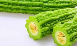 云木吃瓜在哪下载,揭秘热门下载平台的秘密通道