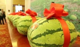 宁职吃瓜,揭秘“吃瓜”背后的故事