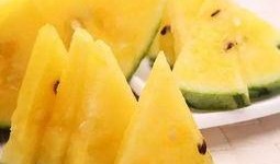 吃瓜吃到漂亮国,揭秘“吃瓜吃到漂亮国”的异国风情