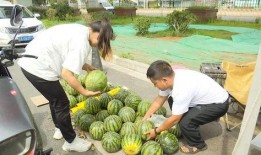 自由吃瓜基地组长名字,瓜界风云人物背后的故事
