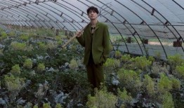 客厅惬意吃瓜,共享瓜果乐趣