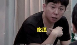 首席吃瓜选手,首席吃瓜选手带你领略娱乐圈风云变幻