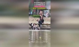 吃瓜视频群众逆袭