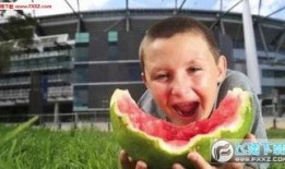 吃瓜的男孩图片,男孩与神秘“吃瓜”现象的奇幻之旅