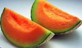 吃哈密瓜会被晒黑吗,揭秘水果与皮肤晒黑的关系