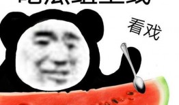 金某某吃瓜,揭秘娱乐圈背后的真相