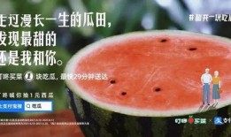 瓜田图片吃瓜,共享甜蜜时光