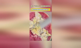 沉浸 吃瓜,品味生活百态