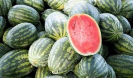 吃瓜无味,品味生活的艺术