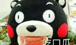 形容 吃瓜是啥意思,揭秘网络热议背后的围观心态