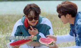 极限挑战吃瓜图片,吃瓜群众视角下的欢乐瞬间