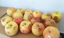 厦门上午吃瓜,瓜香四溢的悠闲时光