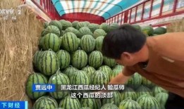 自由吃瓜基地组长名字,瓜界风云人物背后的故事