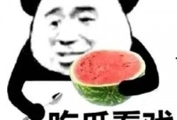 吃瓜无味,品味生活的艺术