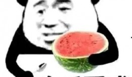 吃瓜无味,品味生活的艺术