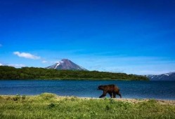 吃瓜手机摄影图片,吃瓜手机摄影作品集锦