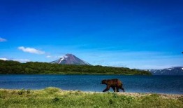 吃瓜手机摄影图片,吃瓜手机摄影作品集锦