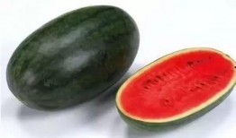 花皮瓜怎么吃,解锁美味新体验