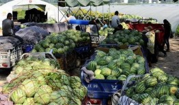 柳城职食堂吃瓜