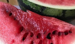 吃瓜爆料吃各种瓜,揭秘娱乐圈那些鲜为人知的幕后故事