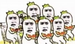 ssr吃瓜群众,吃瓜群众眼中的神秘网络世界