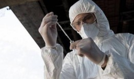 核酸检测后吃瓜,这瓜能吃吗？揭秘核酸检测与饮食安全的关系