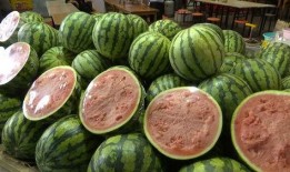 自由吃瓜基地组长名字,瓜界风云人物背后的故事