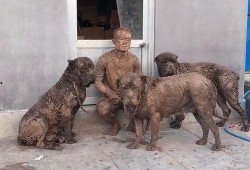 狗狗吃哈米瓜,甜蜜新宠物的健康美味选择