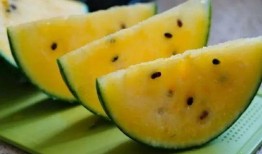 吃瓜无味,品味生活的艺术