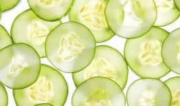 吃瓜黄色瓜最新,探寻网络热词背后的文化现象