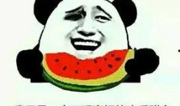 网络吃瓜群众评论,吃瓜群众热议背后的社会现象解析