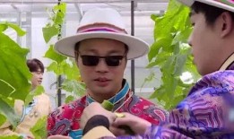 极限挑战吃瓜图片,吃瓜群众视角下的欢乐瞬间