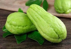 哏瓜怎么吃6,解锁6种独特吃法，尽享美味时光